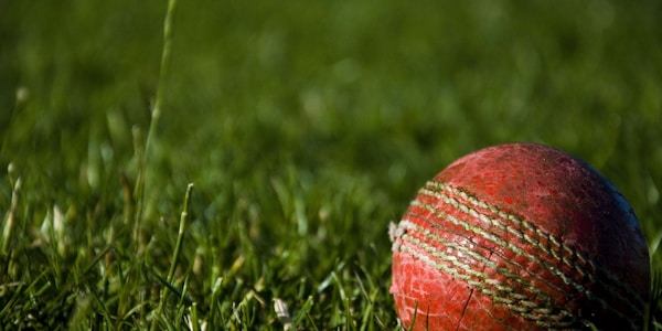 球迷在世界杯看台上欢呼庆祝 - 一片绿色的海洋